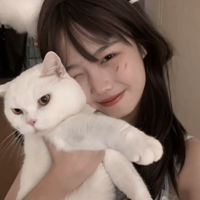 幻想q传公测版下载